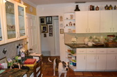 Enlarge photo 45