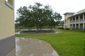 Enlarge photo 39