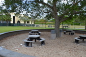 Enlarge photo 45