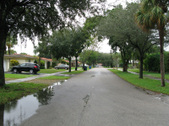 Enlarge photo 35