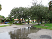 Enlarge photo 39