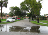 Enlarge photo 41