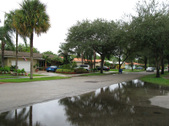 Enlarge photo 45