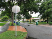 Enlarge photo 59