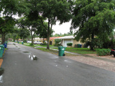 Enlarge photo 63