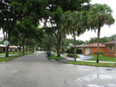 Enlarge photo 71