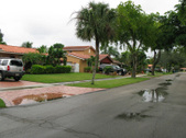 Enlarge photo 78