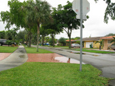 Enlarge photo 79