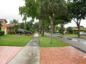 Enlarge photo 81