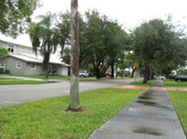 Enlarge photo 85