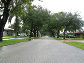 Enlarge photo 87