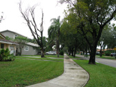 Enlarge photo 89