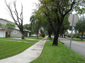 Enlarge photo 91