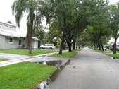 Enlarge photo 93