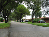 Enlarge photo 95