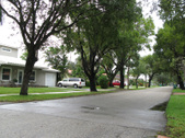 Enlarge photo 96