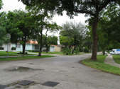 Enlarge photo 97