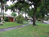 Enlarge photo 110