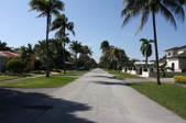Enlarge photo 39