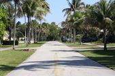 Enlarge photo 45