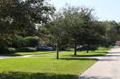 Enlarge photo 44