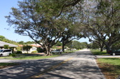 Enlarge photo 49
