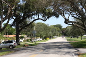Enlarge photo 50