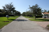 Enlarge photo 52