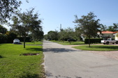 Enlarge photo 51