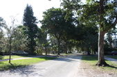 Enlarge photo 55