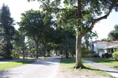 Enlarge photo 57