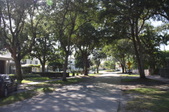 Enlarge photo 60