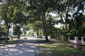 Enlarge photo 61
