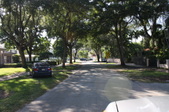 Enlarge photo 62