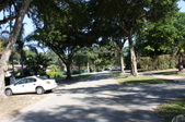 Enlarge photo 63