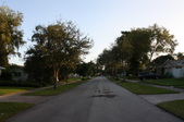 Enlarge photo 67