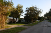 Enlarge photo 70