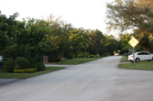 Enlarge photo 79