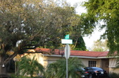 Enlarge photo 84