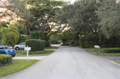 Enlarge photo 81