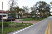 Enlarge photo 87