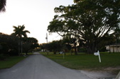 Enlarge photo 97