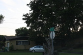 Enlarge photo 106