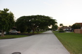 Enlarge photo 115