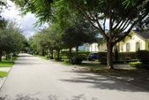 Enlarge photo 146