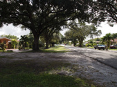 Enlarge photo 37