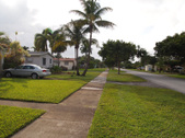 Enlarge photo 61