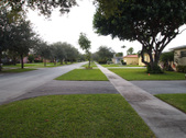 Enlarge photo 85