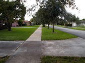 Enlarge photo 88