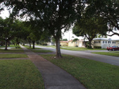 Enlarge photo 91